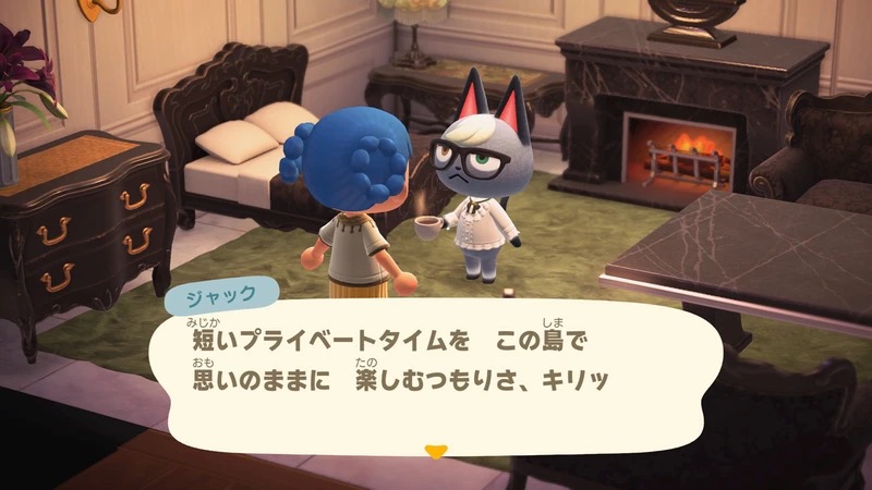 Animal Crossing: New Horizons Switch 2 Edition - Everything You Need to Know About Ver. 3.0 - RyuArcade