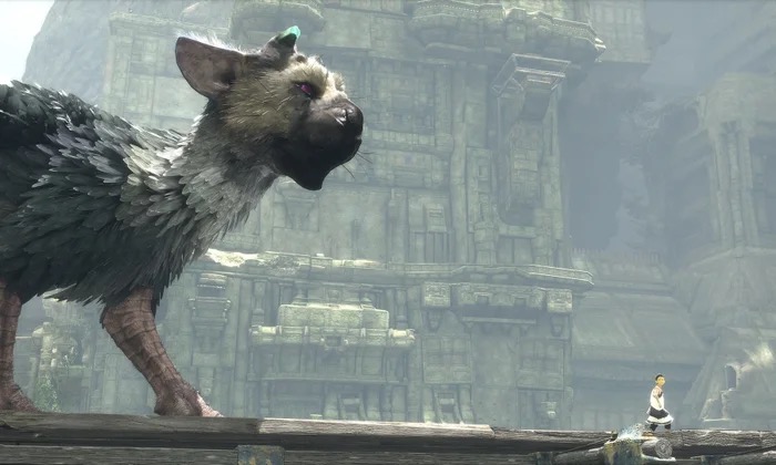 Trico's scale compared to the boy shows the creature's majestic presence