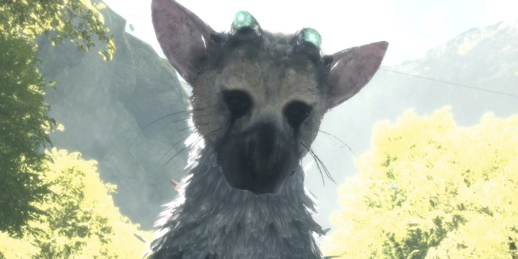 Trico gazes at the player with those unforgettable eyes