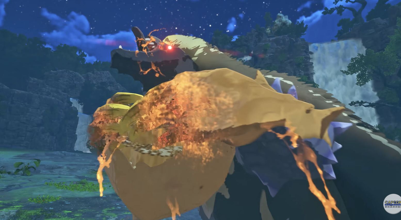 Protagonist with Rathalos