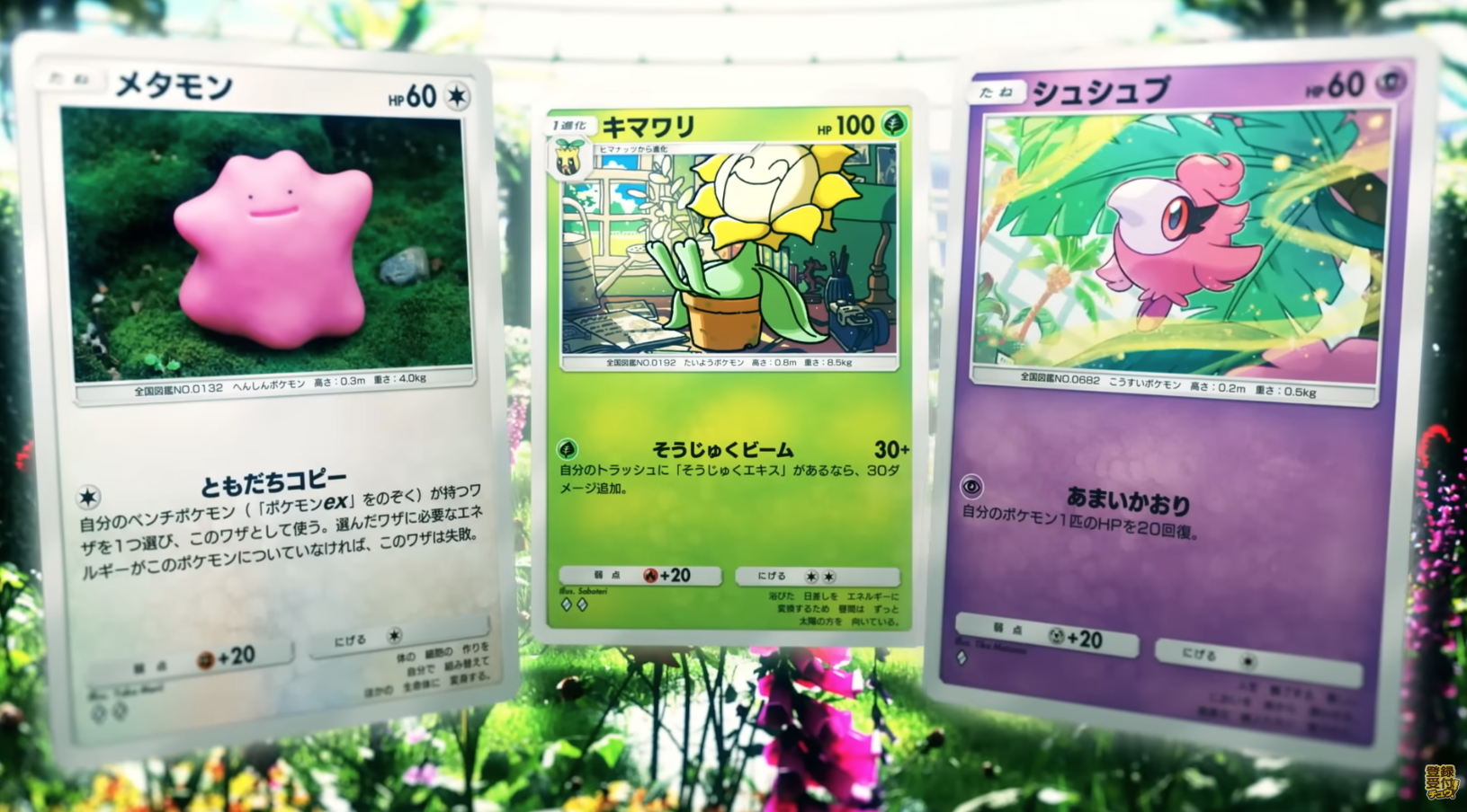 Ditto, Smoliv, and Shuppet cards